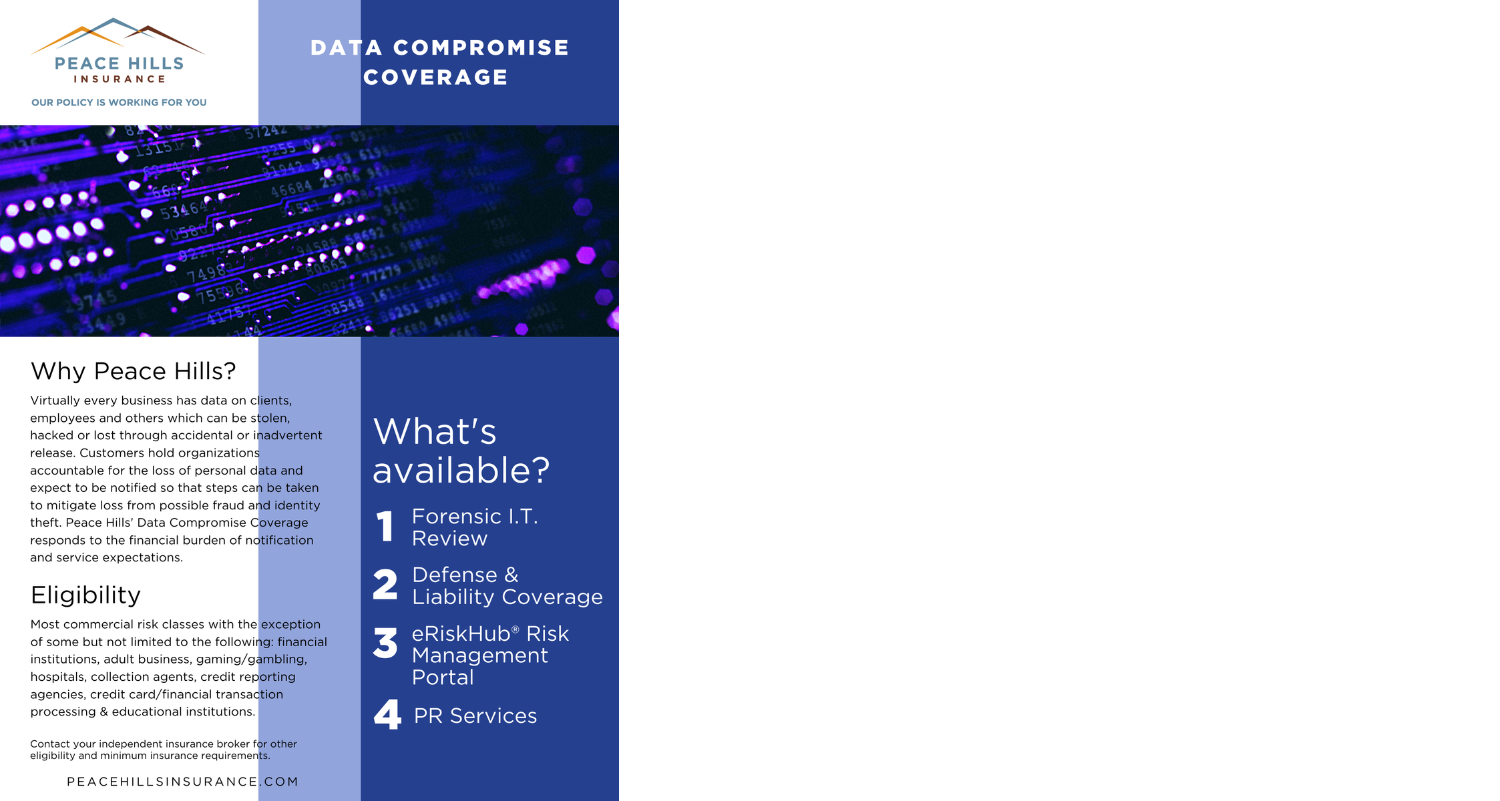 Data_Compromise_icon
